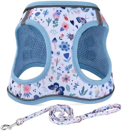 Mihqy Step in Dog Harness and Leash Set, Soft Breathable Mesh by Mihqy