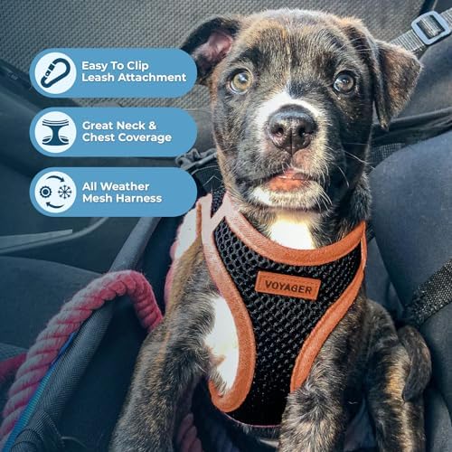 Voyager Step-in Air Dog Vest Harness - Image 3
