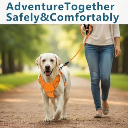 BARKBAY No Pull Dog Harness for Large Dogs, ID Tag Holder Dog Vest - Image 7