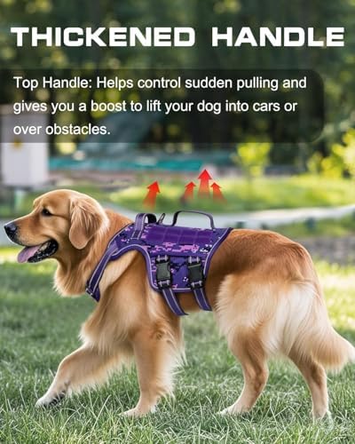 Dog Harness, Tactical No Pull for Small Sized Dog - Image 2