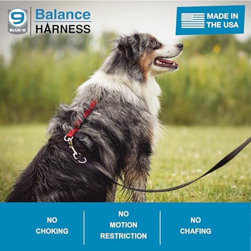 Blue-9 Balance Harness® for Dogs, Buckle-Neck - Image 3