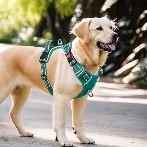 Timos Dog Harness, No Pull Large Sized - Image 6