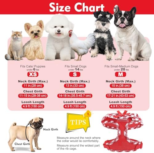 EXPAWLORER Step-in Dog Harness Small Sized and Leash Set - Image 4