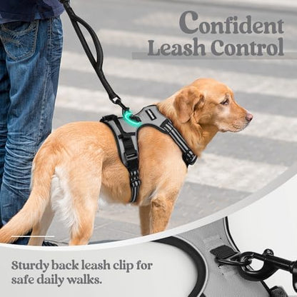 rabbitgoo Dog Harness, No Pull for Small Dogs - Image 6