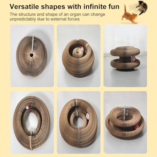 Kitty Curls Cat Toy, Foldable Magic Organ Toy, Cat Scratcher Board - Image 4