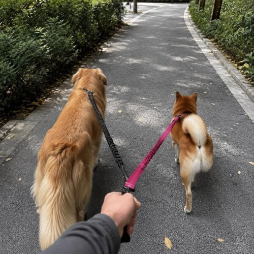 Double Dog Leash, Retractable Dog Leash - Image 6