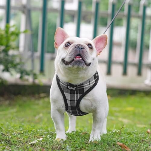 PUPTECK Small Dog Harness and Leash Set No Pull - Image 6