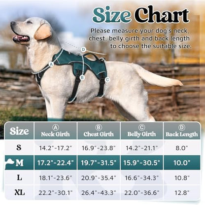 rabbitgoo Escape Proof Dog Harness - Image 2