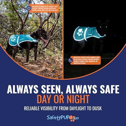 Reflective Dog Vest, Hi Vis Safety Gear - Image 5