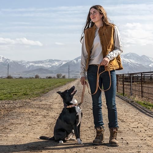 Carhartt Nylon Dual Handle Dog Leash Carhartt Brown L - Image 4