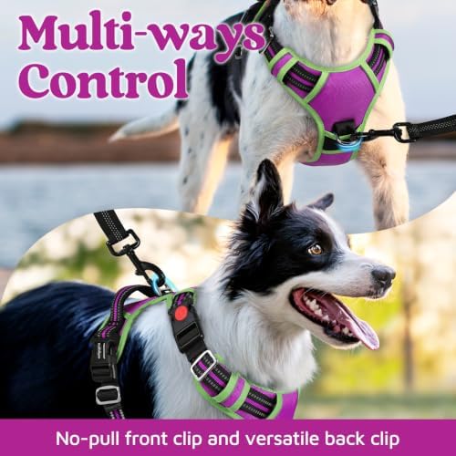 rabbitgoo Dog Harness Small Sized, No Pull 3 Buckles Easy On & Off - Image 4