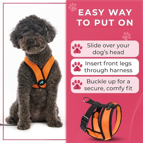 Gooby Comfort X Head-in Dog Harness, Choke-Free - Image 6
