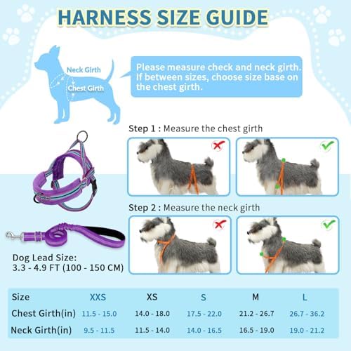 SlowTon No Pull Small Dog Harness and Leash Set - Image 5