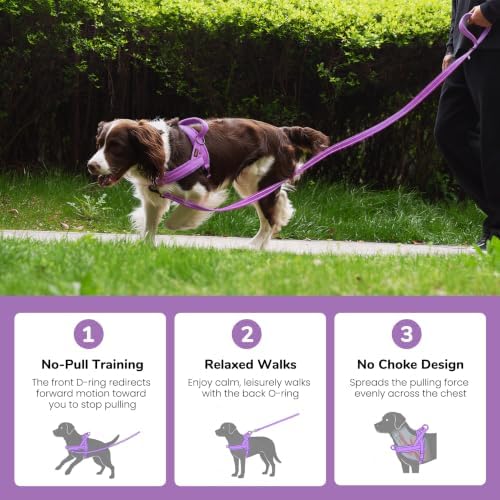 Didog No Pull Dog Harness for Small Dogs, Soft Flannel Padded - Image 4