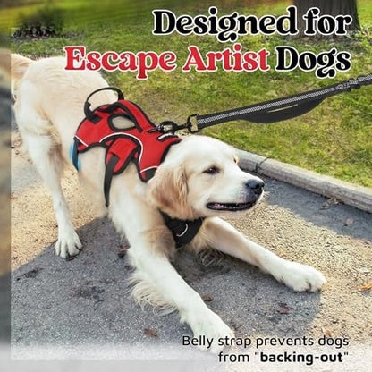 rabbitgoo Escape Proof Dog Harness - Image 2