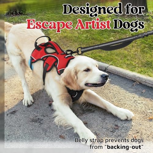 rabbitgoo Escape Proof Dog Harness - Image 2