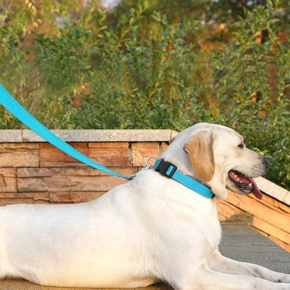 6 FT Basic Dog Leash for Medium Dogs, Sky Blue - Image 3
