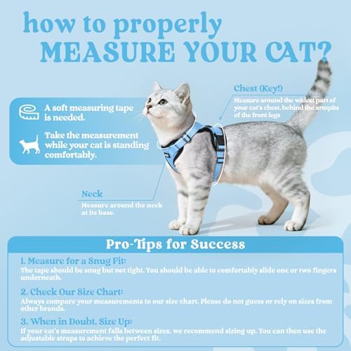 rabbitgoo Cat Harness and Leash Set, Escape Proof Vest, Light Blue - Image 2