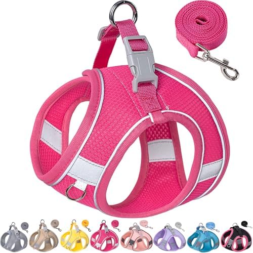 Dog Harness for Small Medium Sized Dog, Puppy Harness and Leash Set Training by Aecllcea