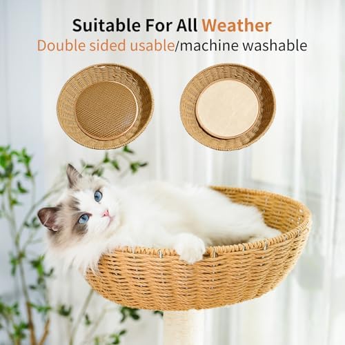 55.5-Inch Modern Cat Tree for Large Cats - Image 6