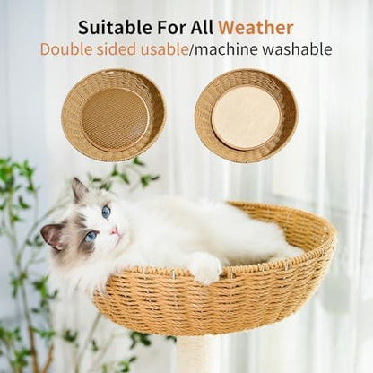55.5-Inch Modern Cat Tree for Large Cats - Image 6