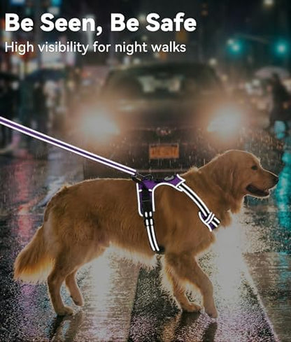 Joytale No Pull Dog Harness Medium Sized Dog, Front Clip - Image 5
