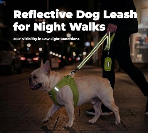 Best Pet Supplies Voyager Nylon Dog Leash - Image 4