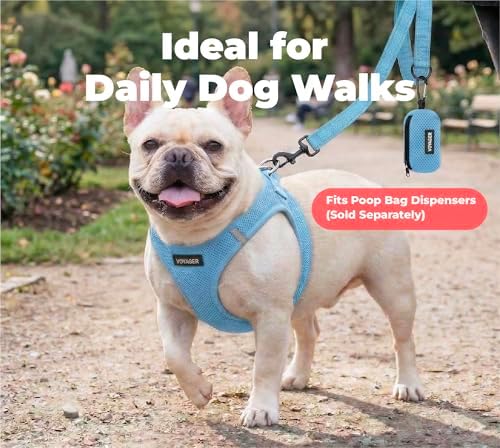 Best Pet Supplies Voyager Nylon Dog Leash - Image 3