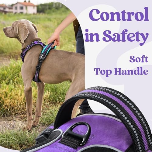 rabbitgoo Dog Harness for Large, Updated Easy On & Off - Image 4
