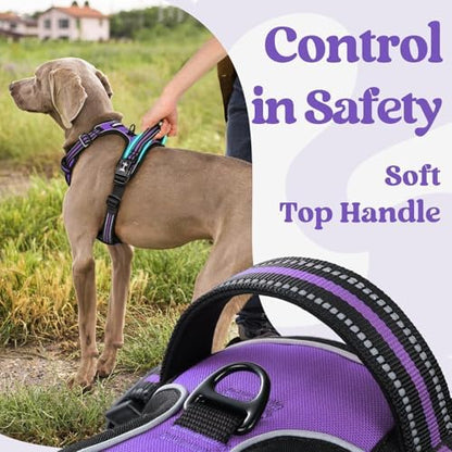 rabbitgoo Dog Harness for Large, Updated Easy On & Off - Image 4