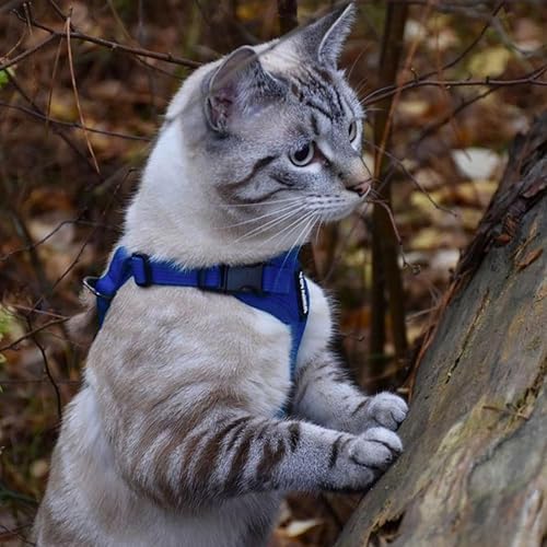 Voyager Step-in Lock Cat Harness & Leash Set - Image 2