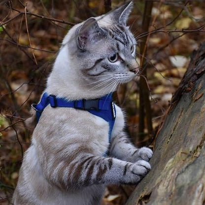 Voyager Step-in Lock Cat Harness & Leash Set - Image 2