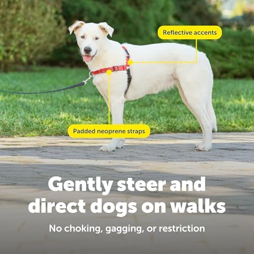 PetSafe Deluxe Easy Walk Harness, Medium/Large, Rose Red - Image 5