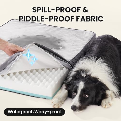 OhGeni Orthopedic Waterproof Med Large Dog Bed, Memory Foam, 35 inch - Image 6