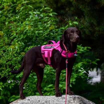 Dog Harness for Large Dogs, No Pull Tactical Vest - Image 2