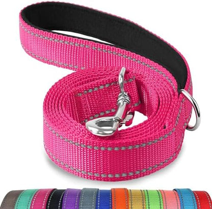 Joytale Reflective Dog Leash for Small Dogs, 5 FT x 3/4" by Joytale