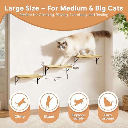 3Pcs 16.5"×10" Large Cat Wall Shelves - Image 3