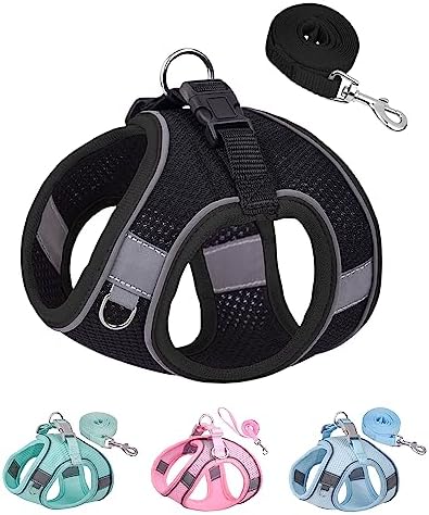SOLMOONY Dog Harness for Small Medium Dogs No Pull, Puppy Harness and Leash Set by SOLMOONY
