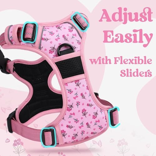 rabbitgoo Dog Harness Small Sized, Updated Easy On & Off - Image 4