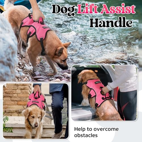 rabbitgoo Escape Proof Dog Harness - Image 3