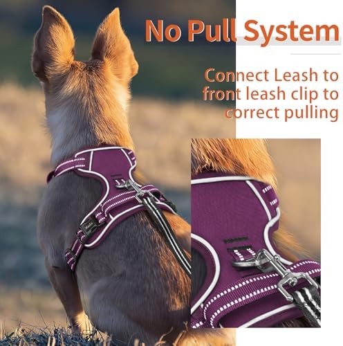 HEELE Dog Harness for Small Dogs No Pull Dog Vest Harness for Small Dog - Image 5