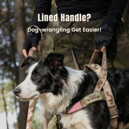 Forestpaw No Pull Dog Harness - Image 2
