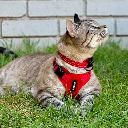 Voyager Step-in Lock Cat Harness & Leash Set - Image 6