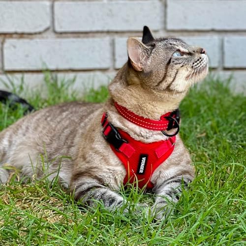 Voyager Step-in Lock Cat Harness & Leash Set - Image 6