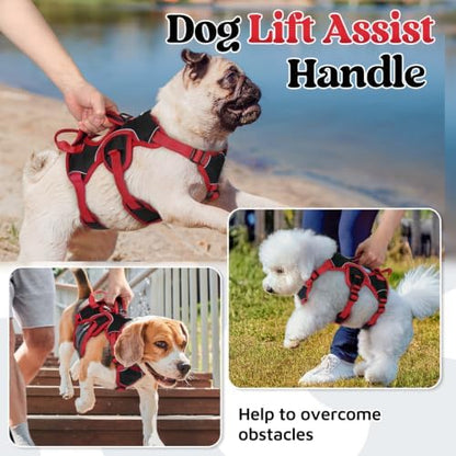 rabbitgoo Escape Proof Dog Harness - Image 3