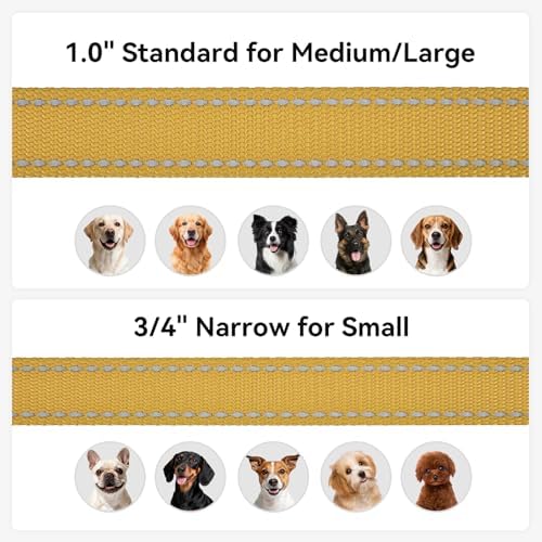 Joytale Reflective Dog Leash for Small Dogs, 6 FT x 3/4" - Image 6