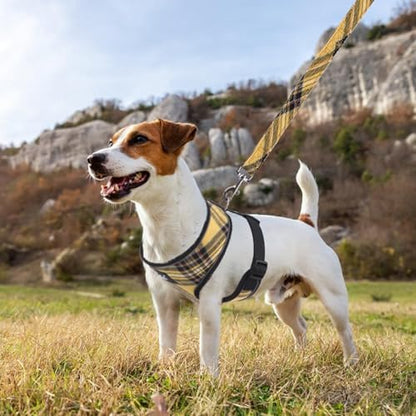 PUPTECK Small Dog Harness and Leash Set No Pull - Image 6