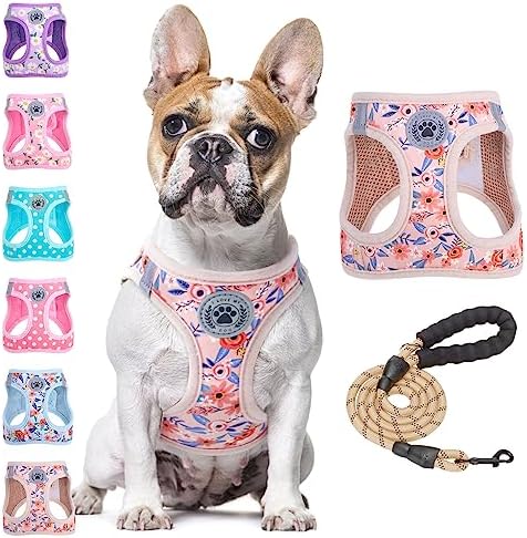 BEAUTYZOO Large Dog Harness and Leash Set, No Pull Puppy Pet Vest by BEAUTYZOO