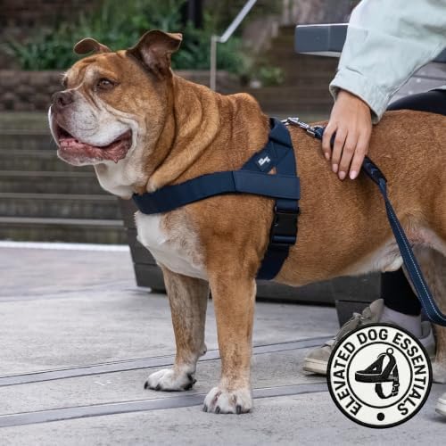 Dog Friendly Co. Dog Harness for Small Dogs, Adjustable - Image 5