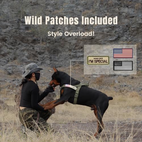 Forestpaw No Pull Dog Harness - Image 5
